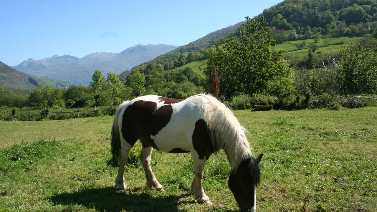 Photo of Outdoor in Quiros