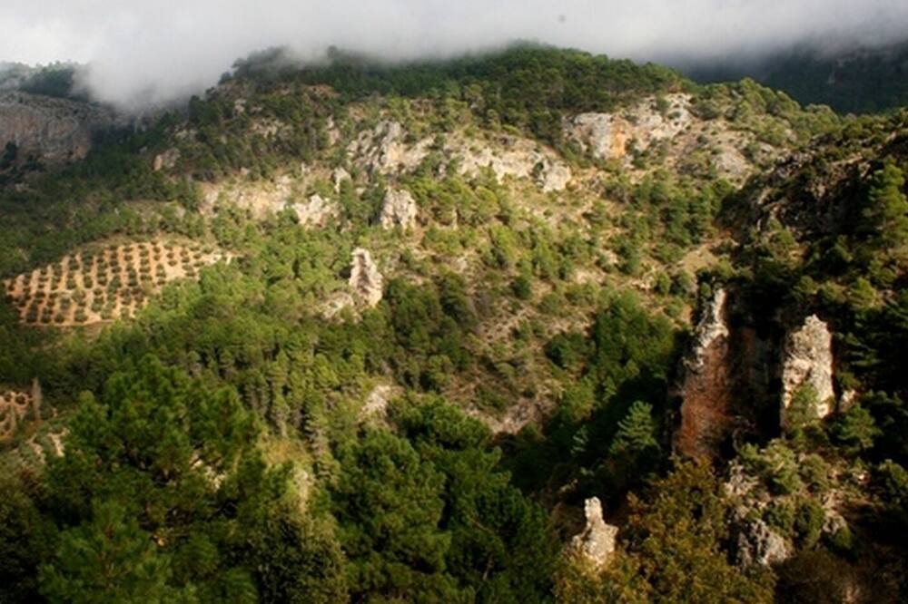 Photo of Outdoor in Beas de Segura
