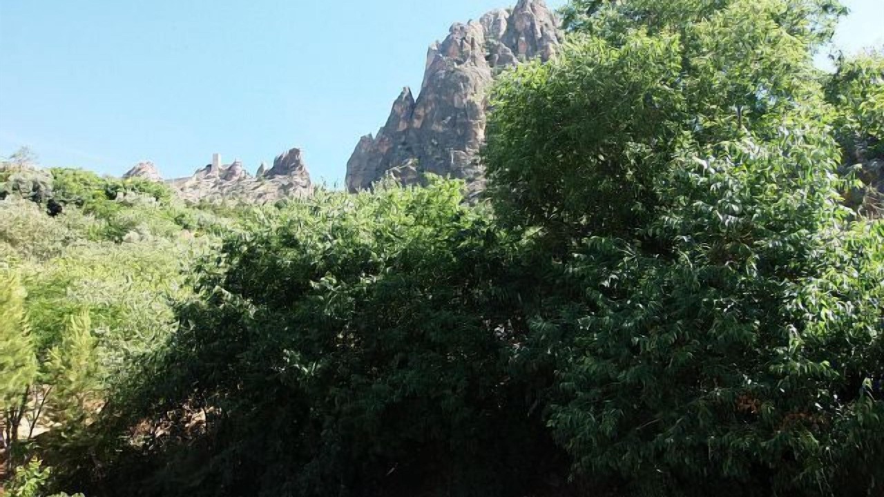 Photo of Outdoor in Tiscar