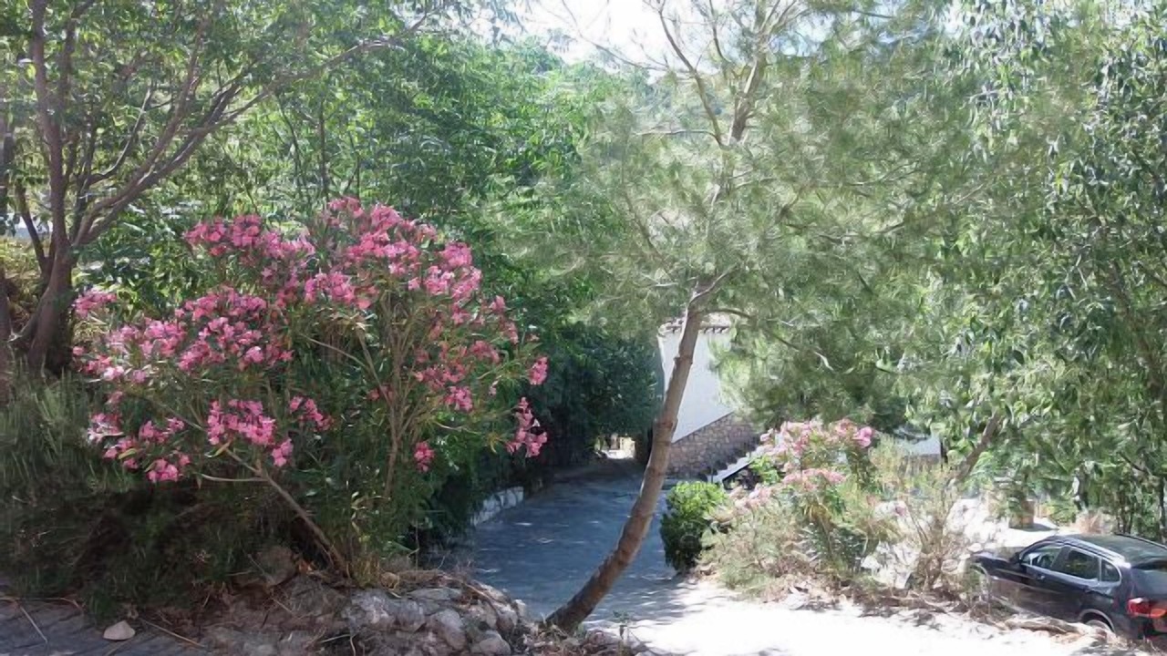 Photo of Outdoor in Tiscar