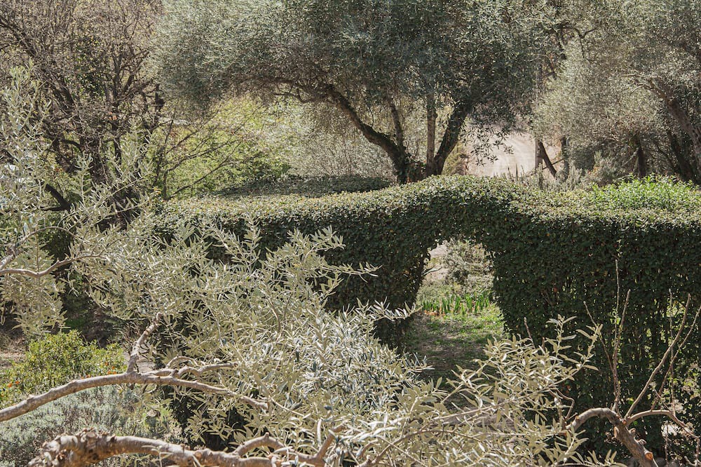 Photo of Outdoor in Porqueres