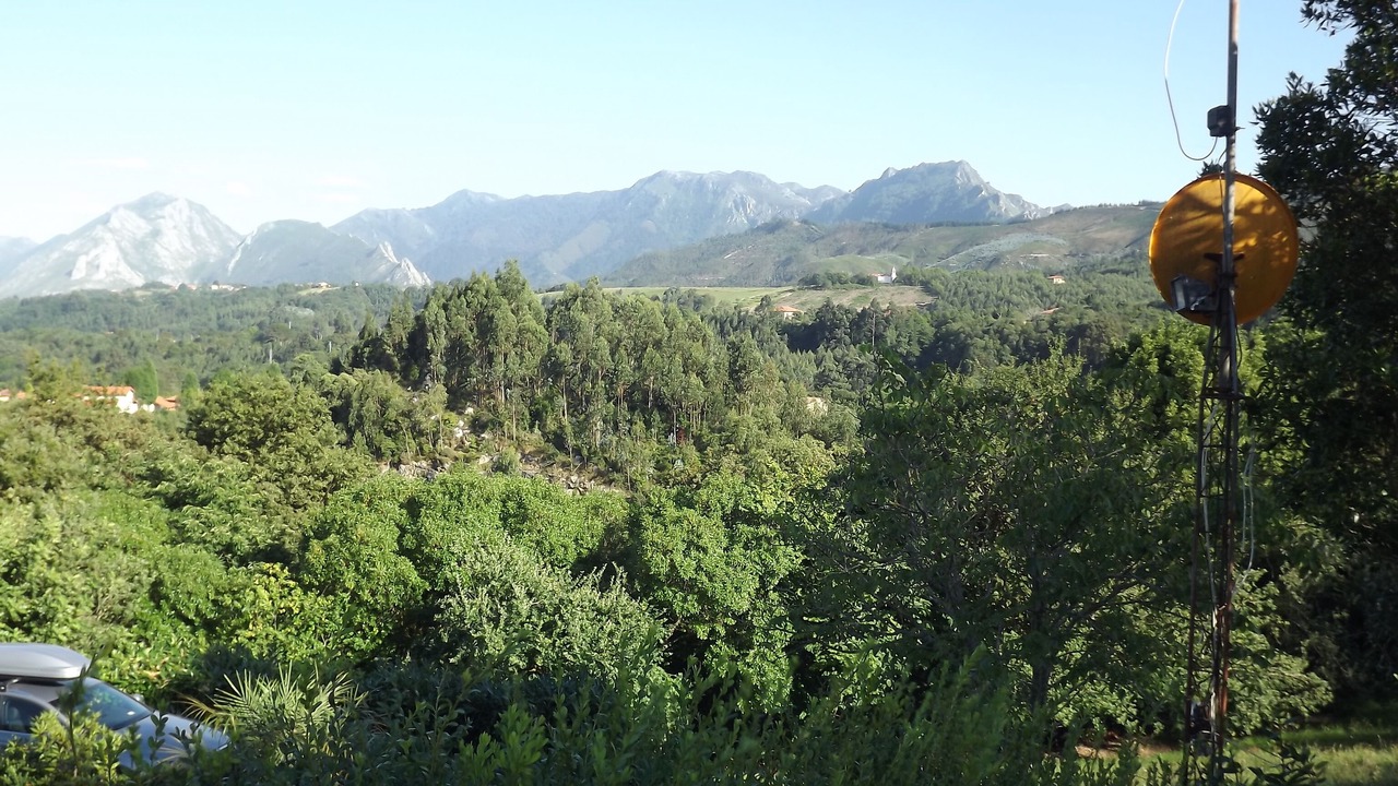 Photo of Outdoor in Pando