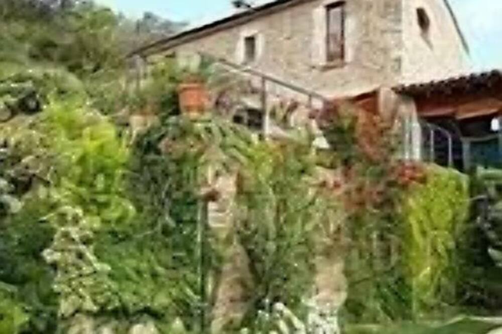 Photo of Outdoor in Porqueres