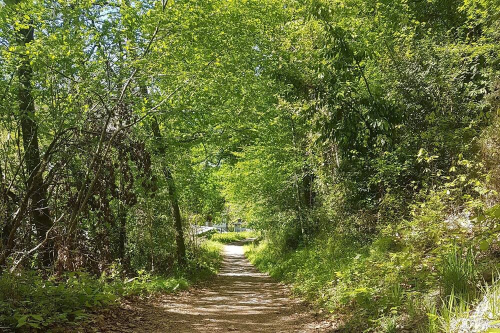 Photo of Outdoor in Artazu