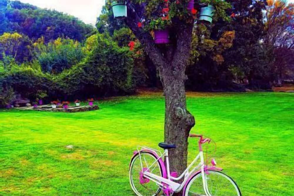 Photo of Outdoor in Navaluenga