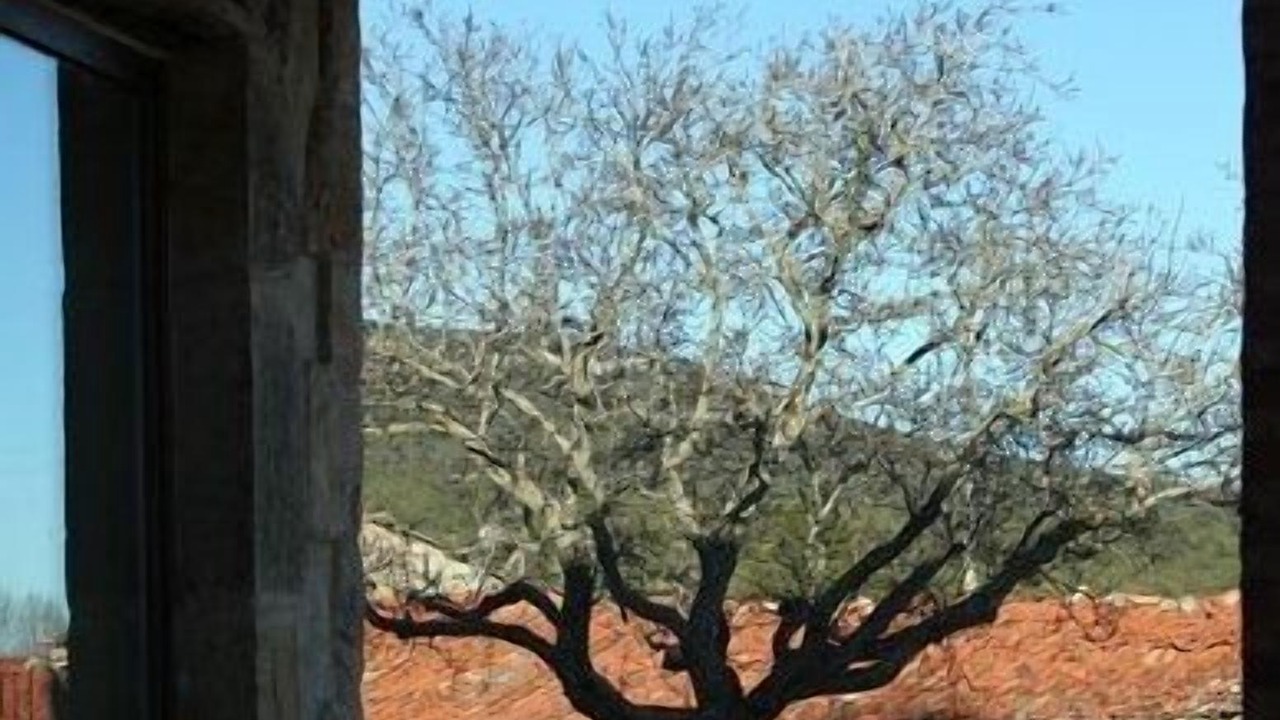Photo of Others in Briongos