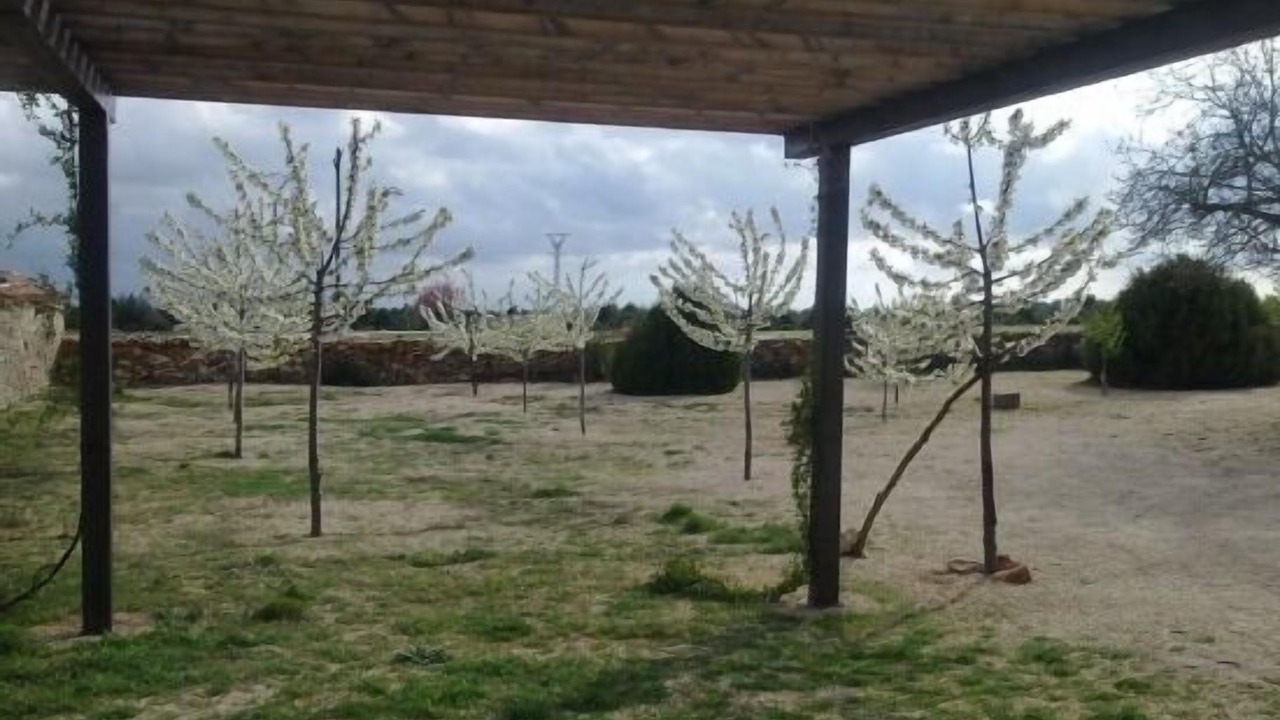 Photo of Outdoor in Briongos