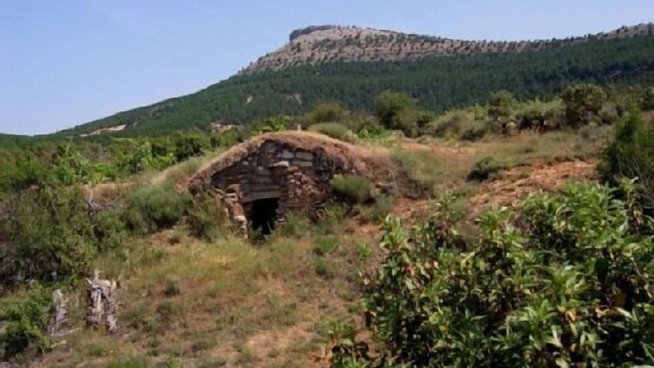 Photo of Outdoor in Briongos