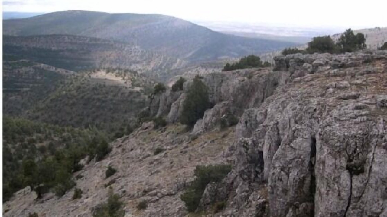 Photo of Outdoor in Briongos