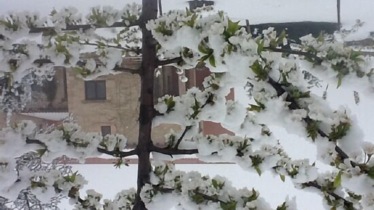 Photo of Outdoor in Briongos