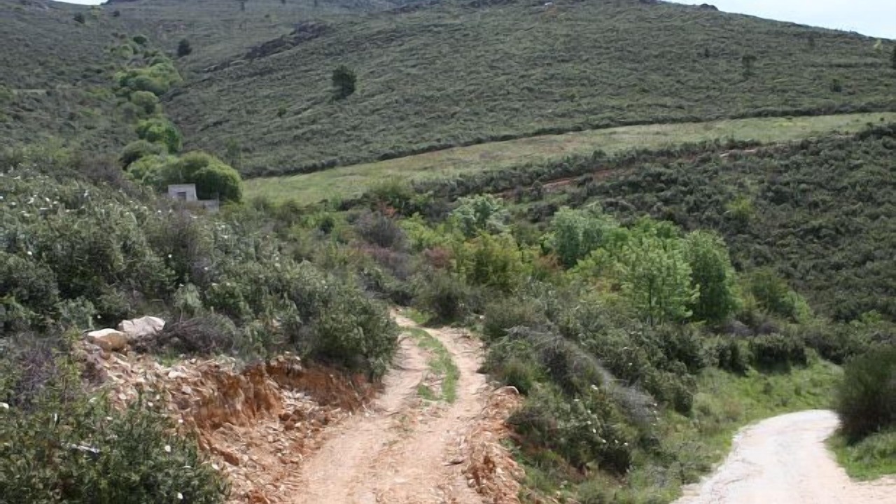 Photo of Outdoor in Berzosa del Lozoya
