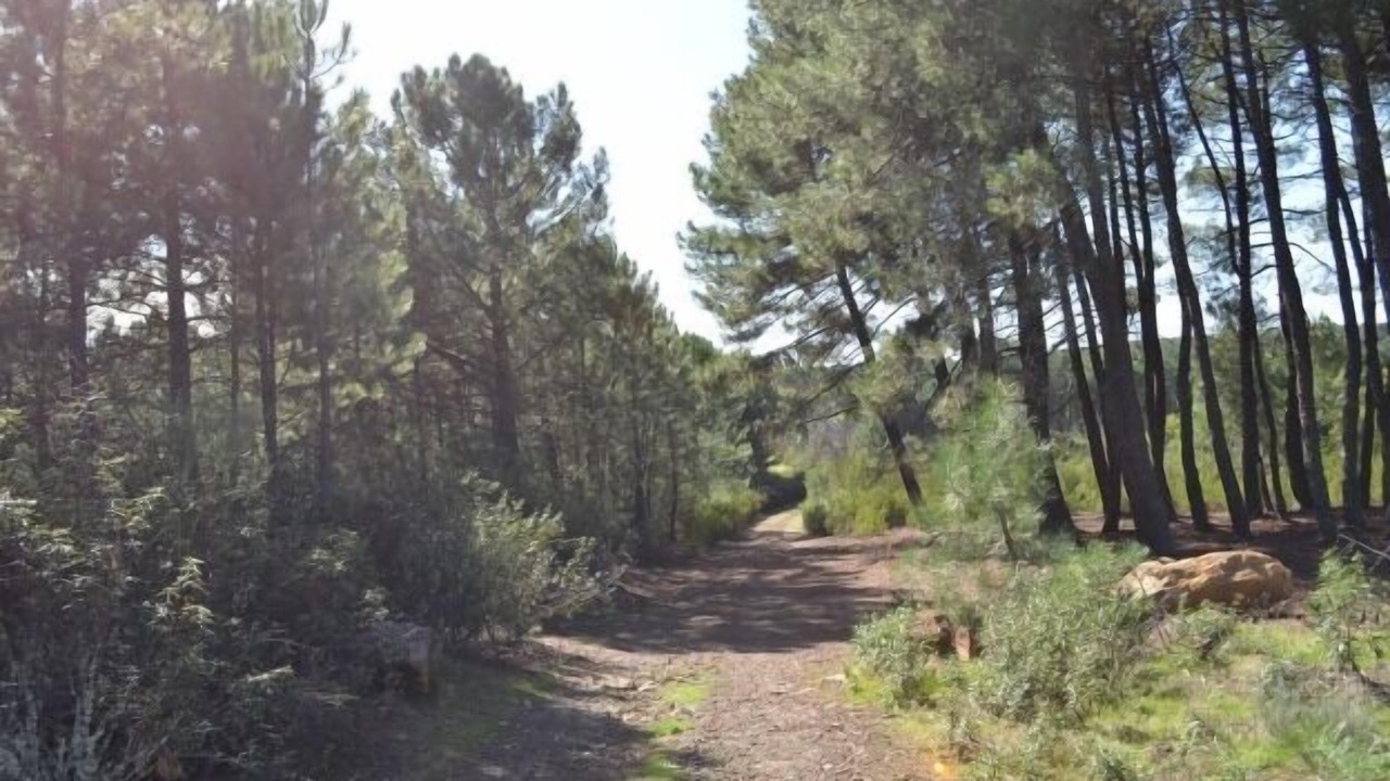 Photo of Outdoor in San Miguel de Valero