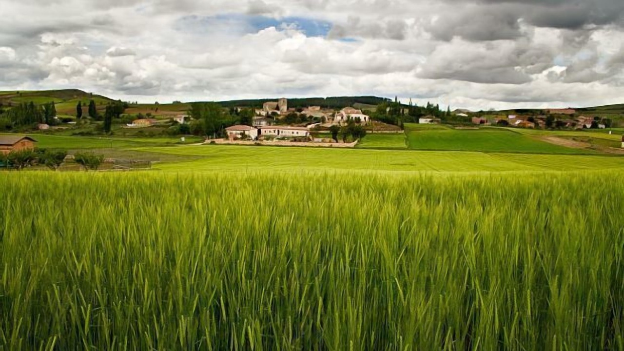 Photo of Others in Castro de Fuentiduena