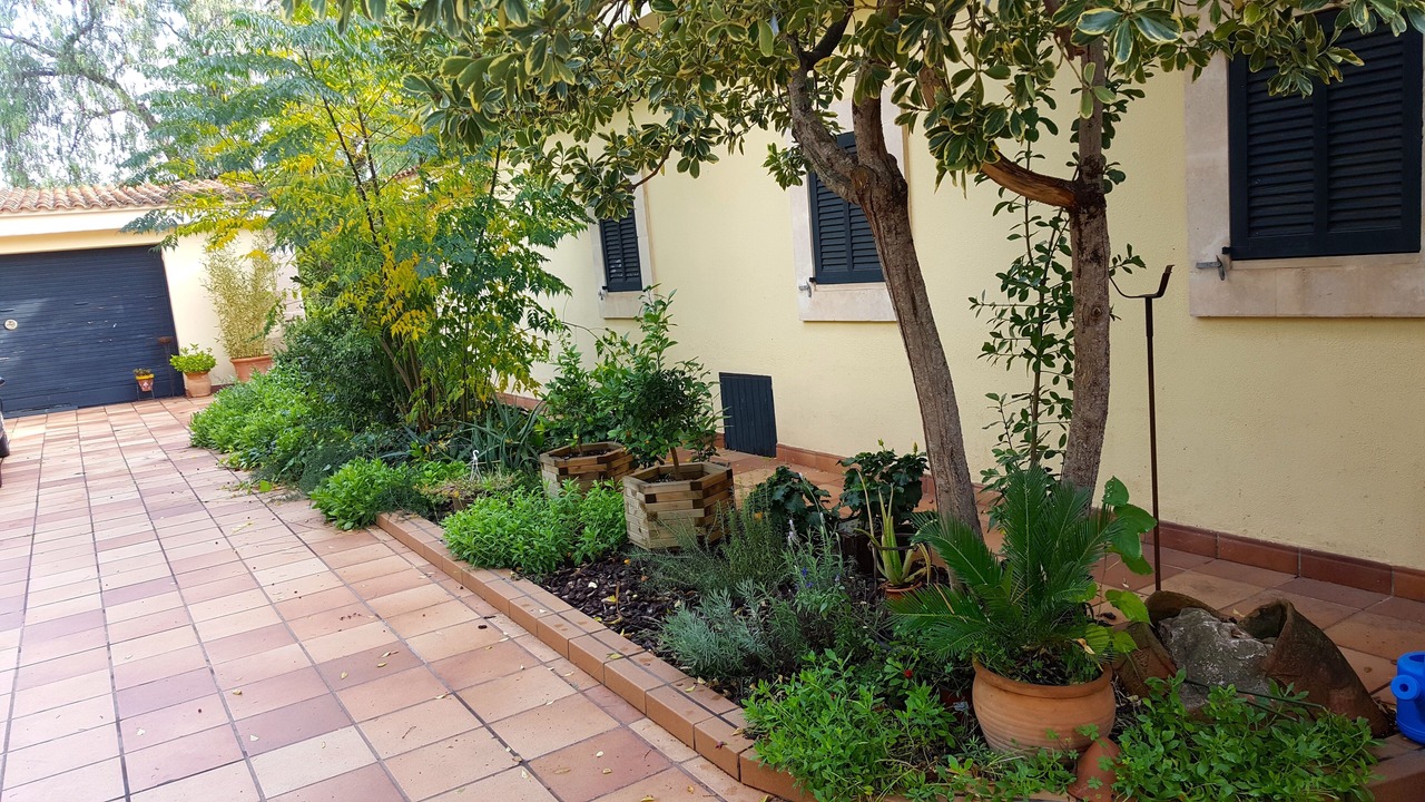 Photo of Outdoor in Es Garrovers