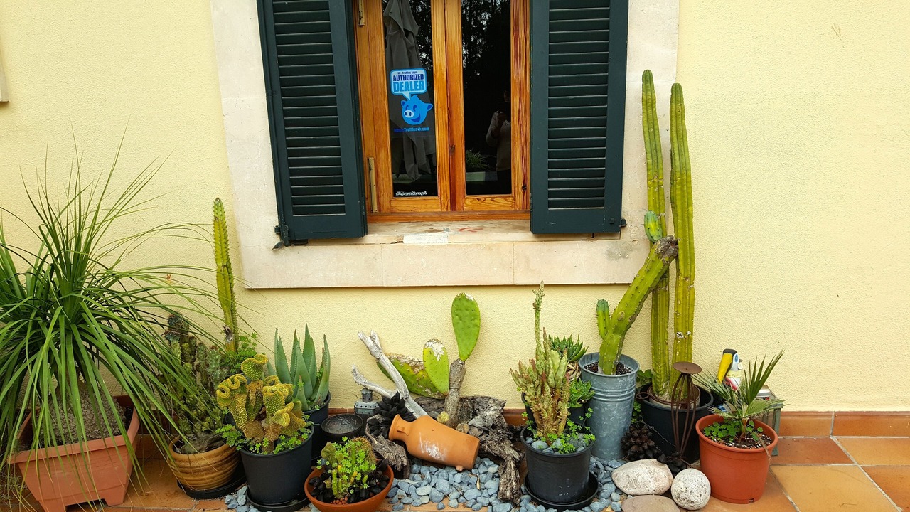 Photo of Outdoor in Es Garrovers