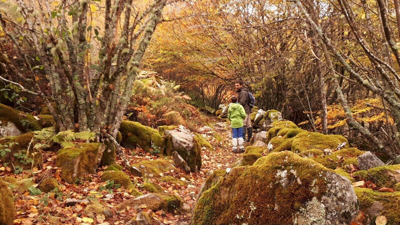 Photo of Outdoor in San Cristobal de Valdueza