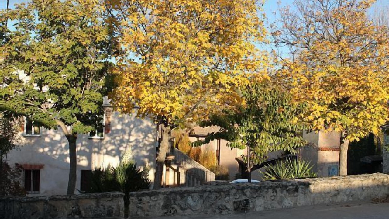 Photo of Outdoor in Cubillo