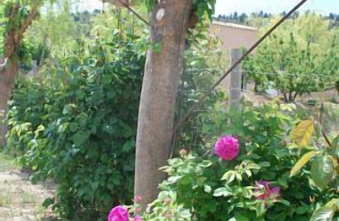 Photo of Outdoor in Molinicos
