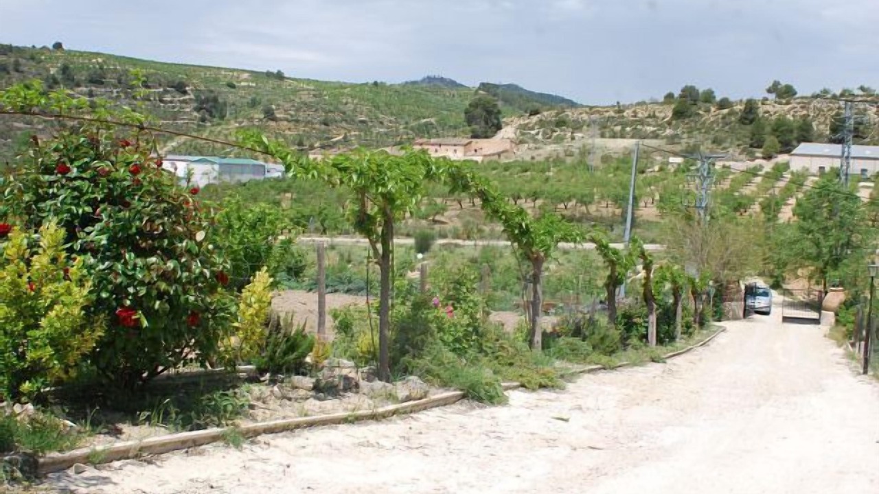 Photo of Outdoor in Molinicos