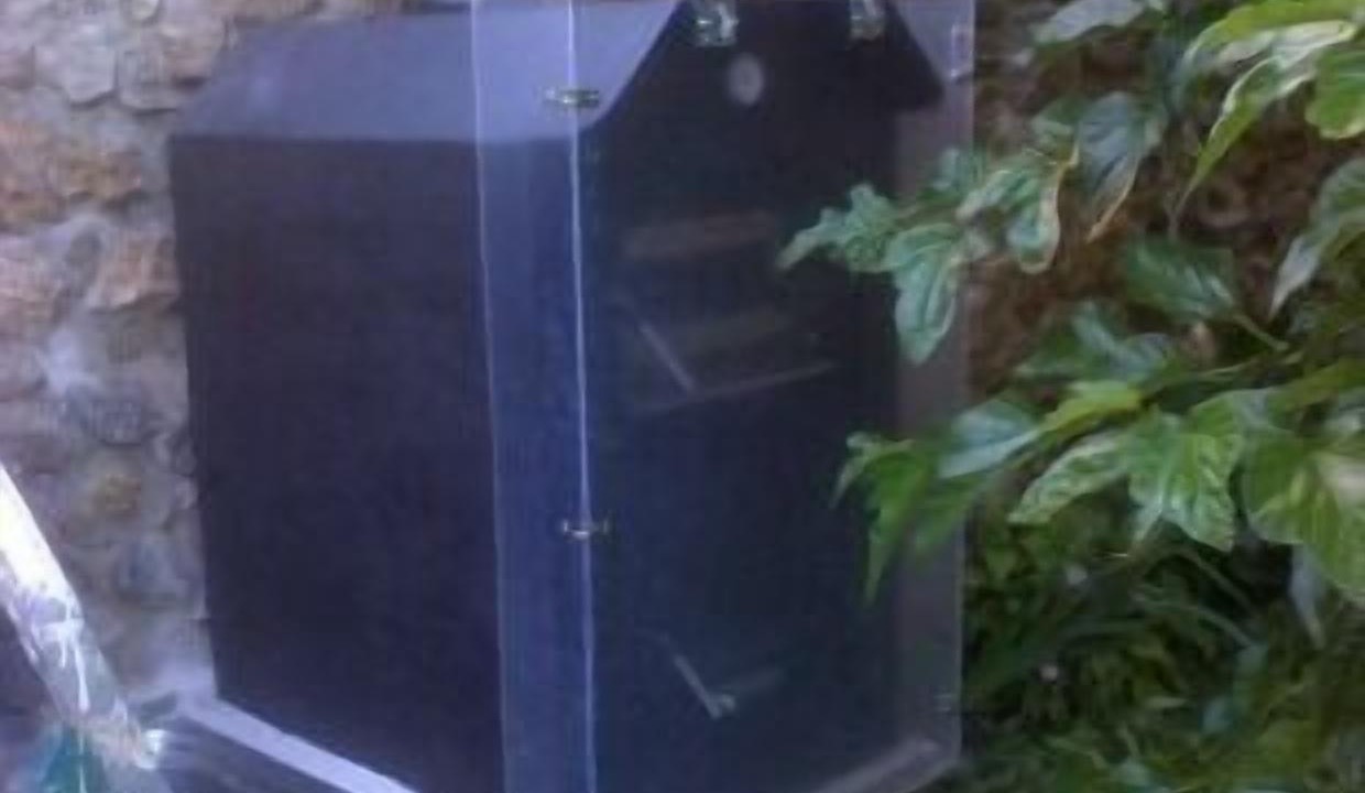 Photo of Outdoor in Lacar