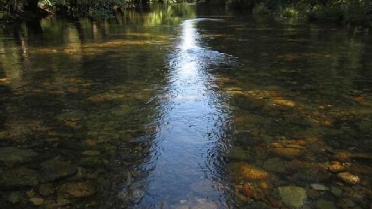 Photo of Outdoor in Canedo