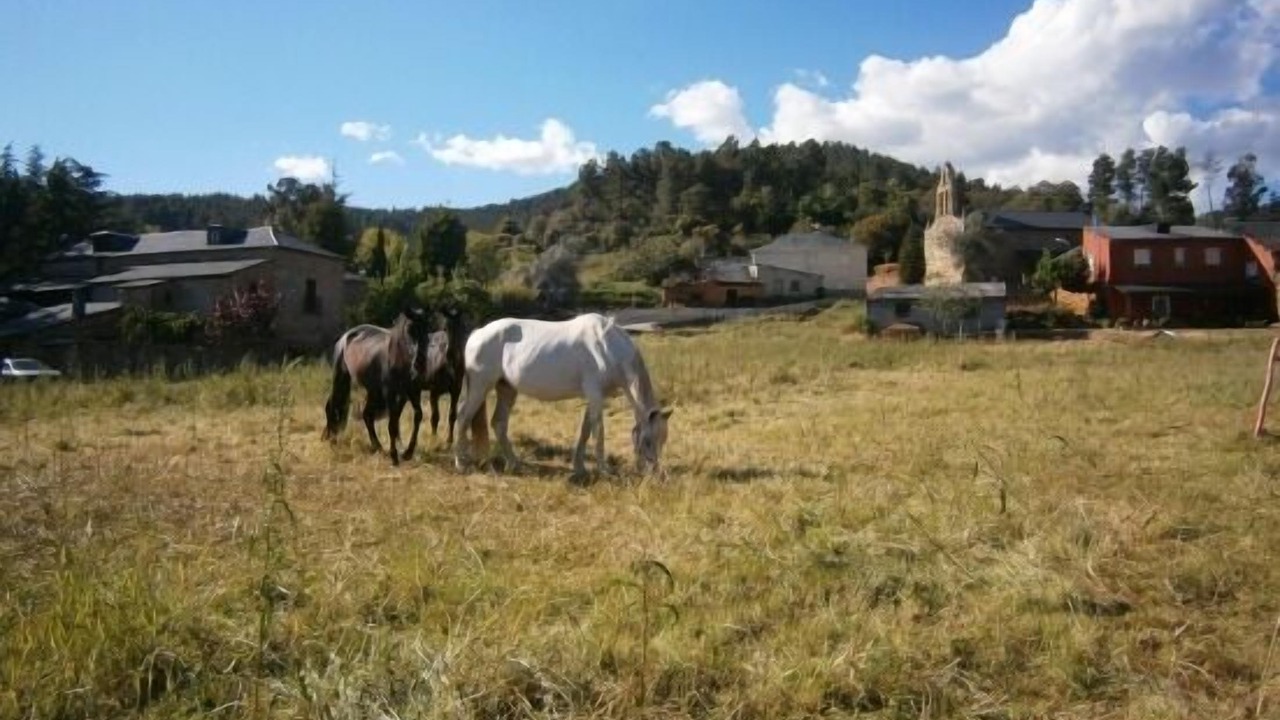 Photo of Outdoor in Canedo