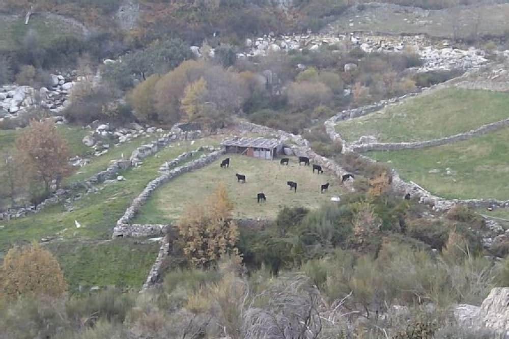 Photo of Outdoor in Cuacos de Yuste