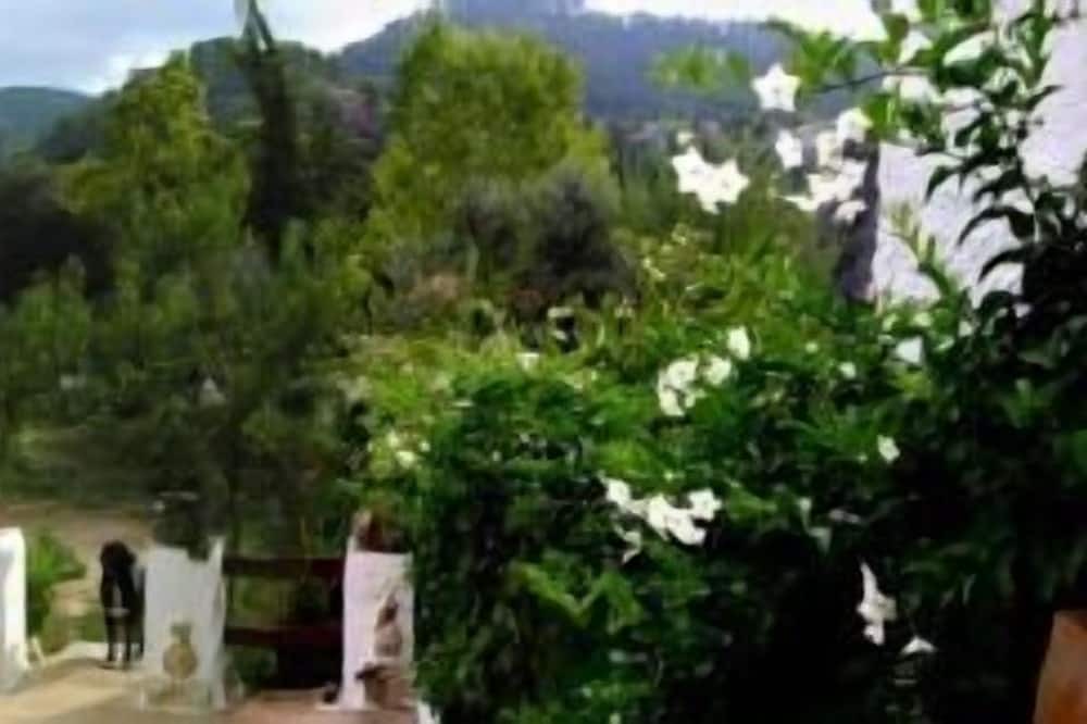 Photo of Outdoor in Beas de Segura