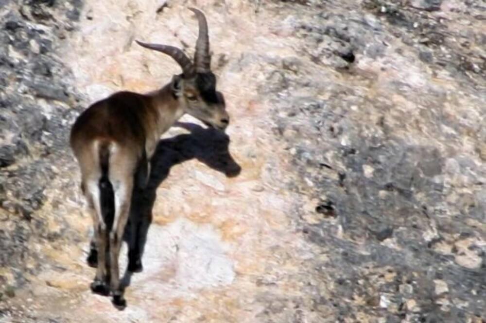 Photo of Outdoor in Beas de Segura