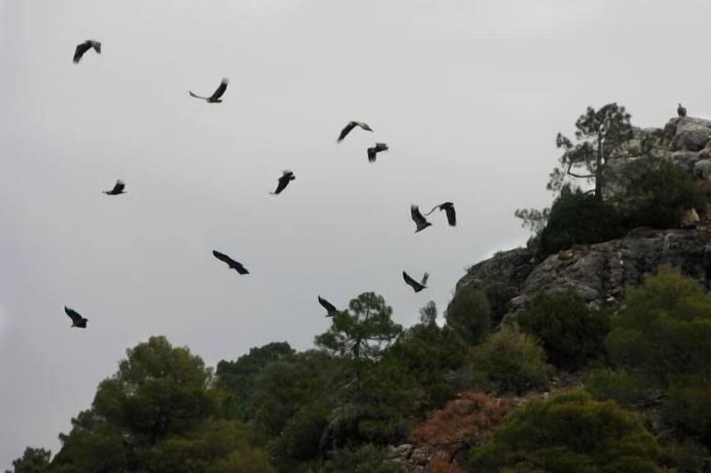 Photo of Others in Beas de Segura