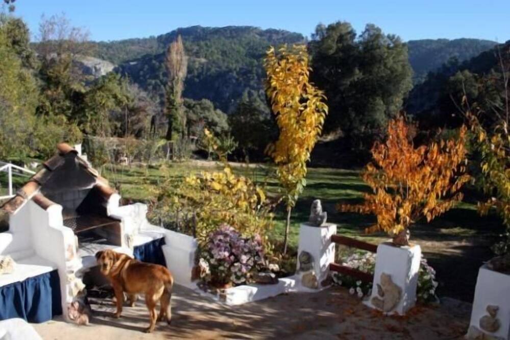 Photo of Patio Balcony in Beas de Segura
