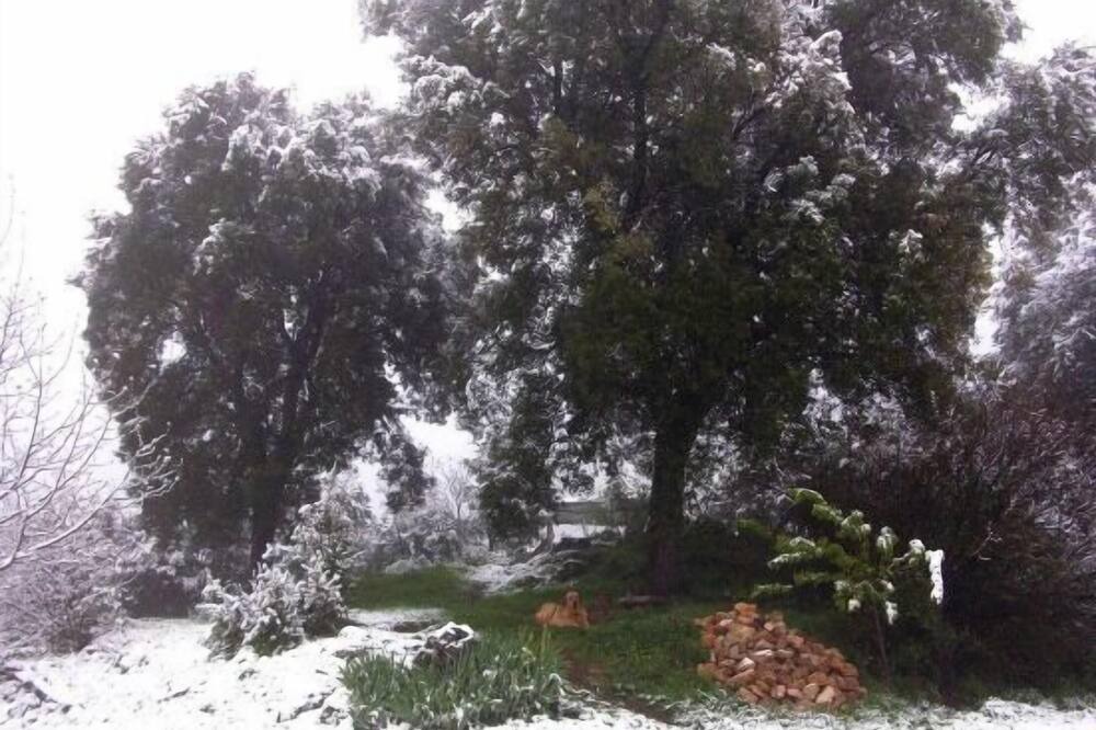Photo of Outdoor in Beas de Segura