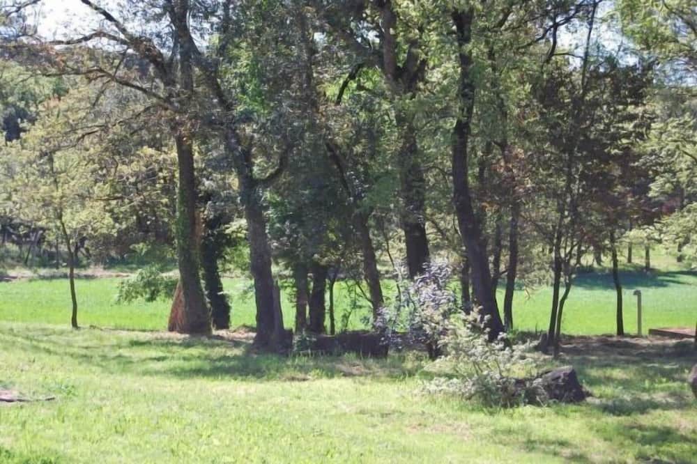 Photo of Outdoor in Sant Feliu de Buixalleu