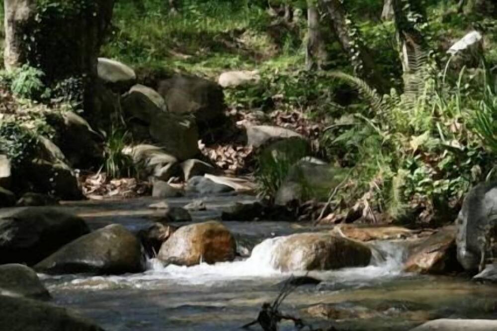 Photo of Outdoor in Sant Feliu de Buixalleu