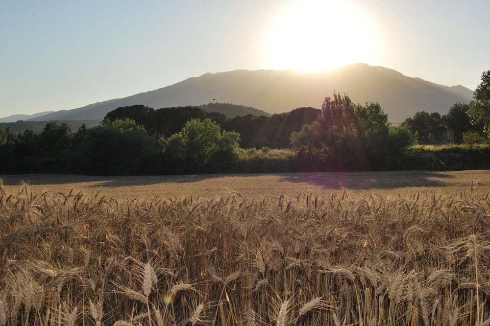 Photo of Outdoor in Sant Feliu de Buixalleu