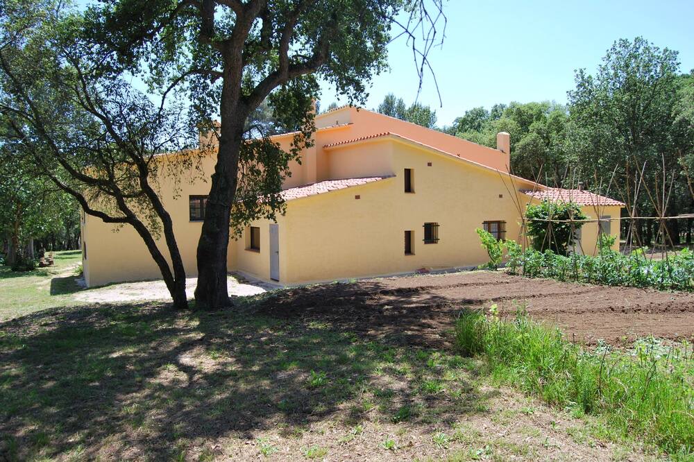 Photo of Outdoor in Sant Feliu de Buixalleu