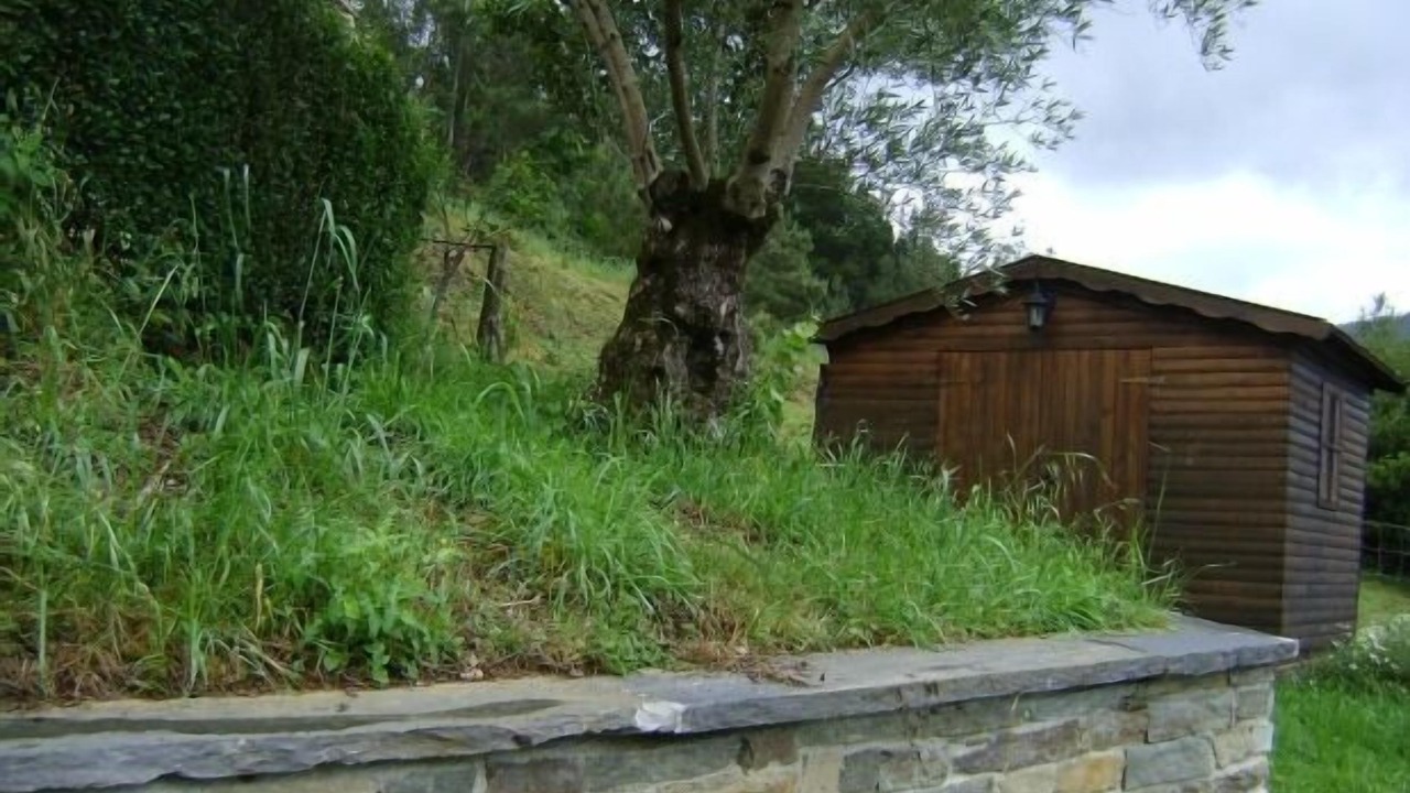 Photo of Outdoor in Trabada