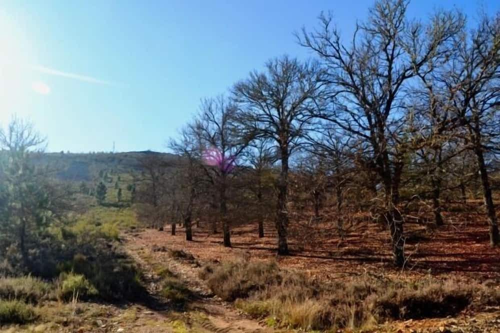 Photo of Outdoor in Ferreras de Arriba