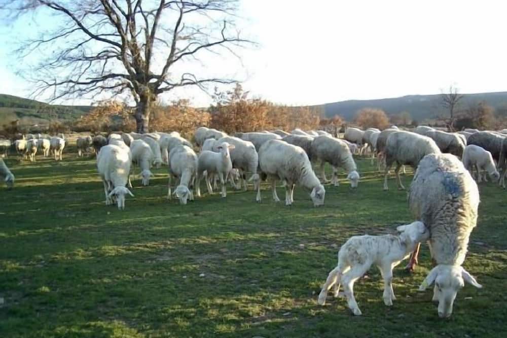 Photo of Outdoor in Ferreras de Arriba