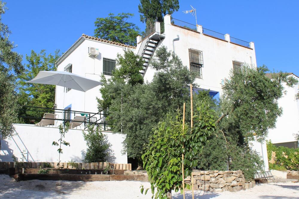 Photo of Outdoor in Bedmar y Garciez