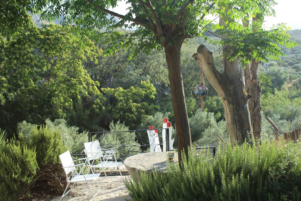 Photo of Outdoor in Bedmar y Garciez