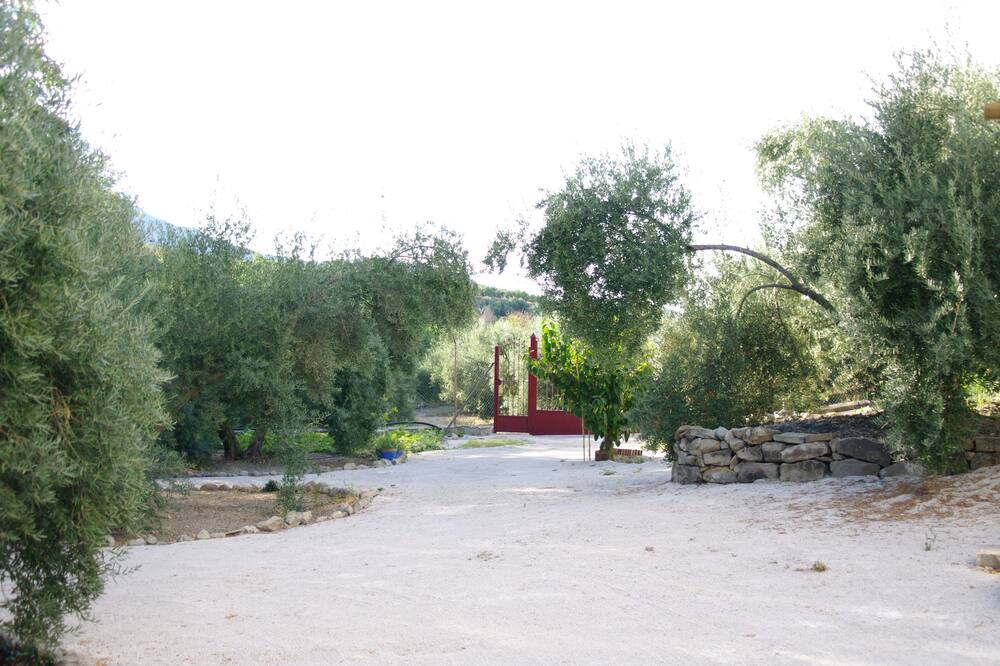 Photo of Outdoor in Bedmar y Garciez