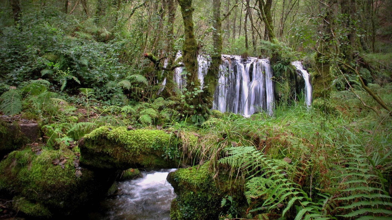 Photo of Outdoor in Codeseda