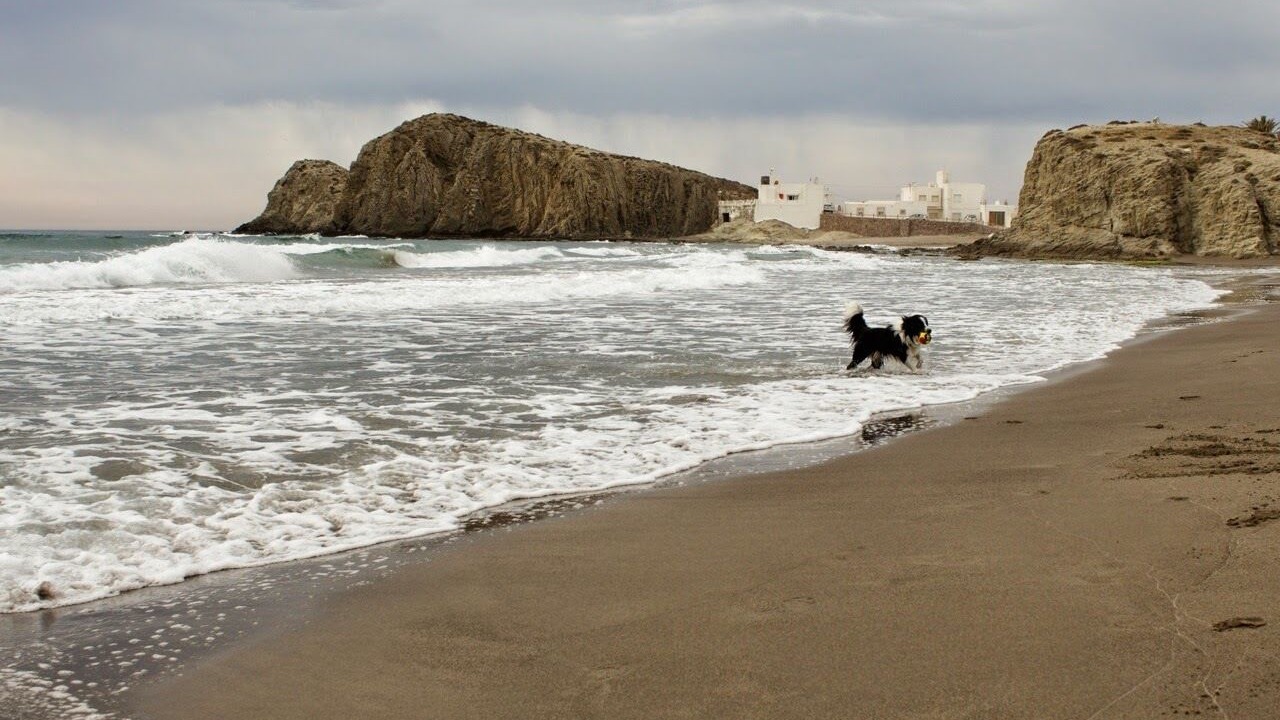 Photo of Others in La Isleta del Moro