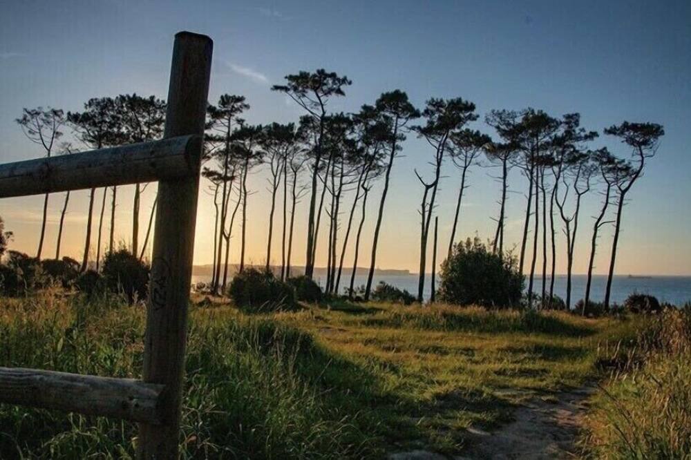 Photo of Outdoor in Loredo