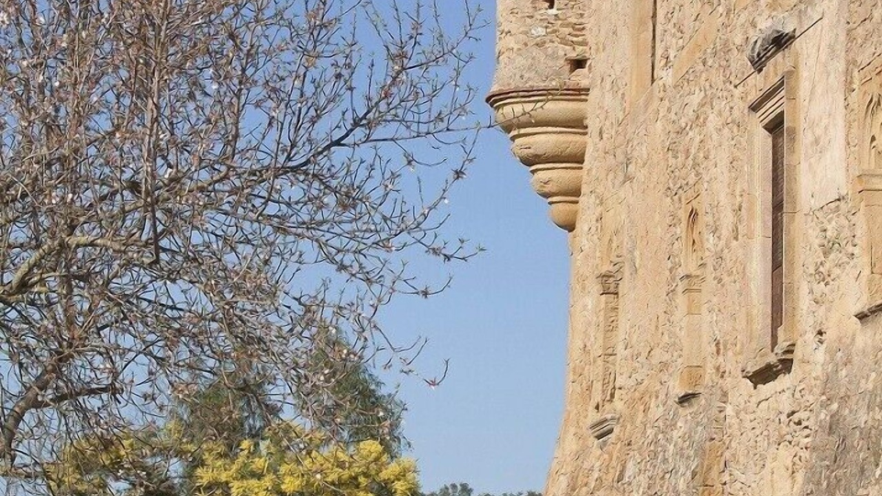 Photo of Outdoor in Pals