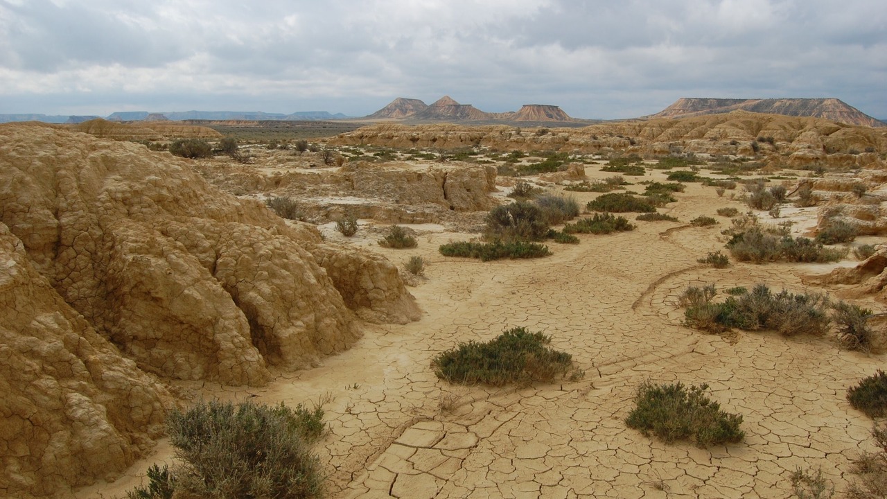 Photo of Outdoor in Arguedas