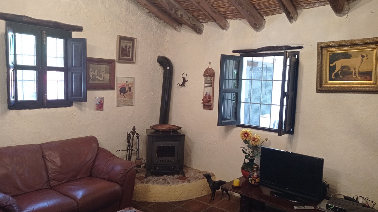 Photo of Livingroom in Malaga