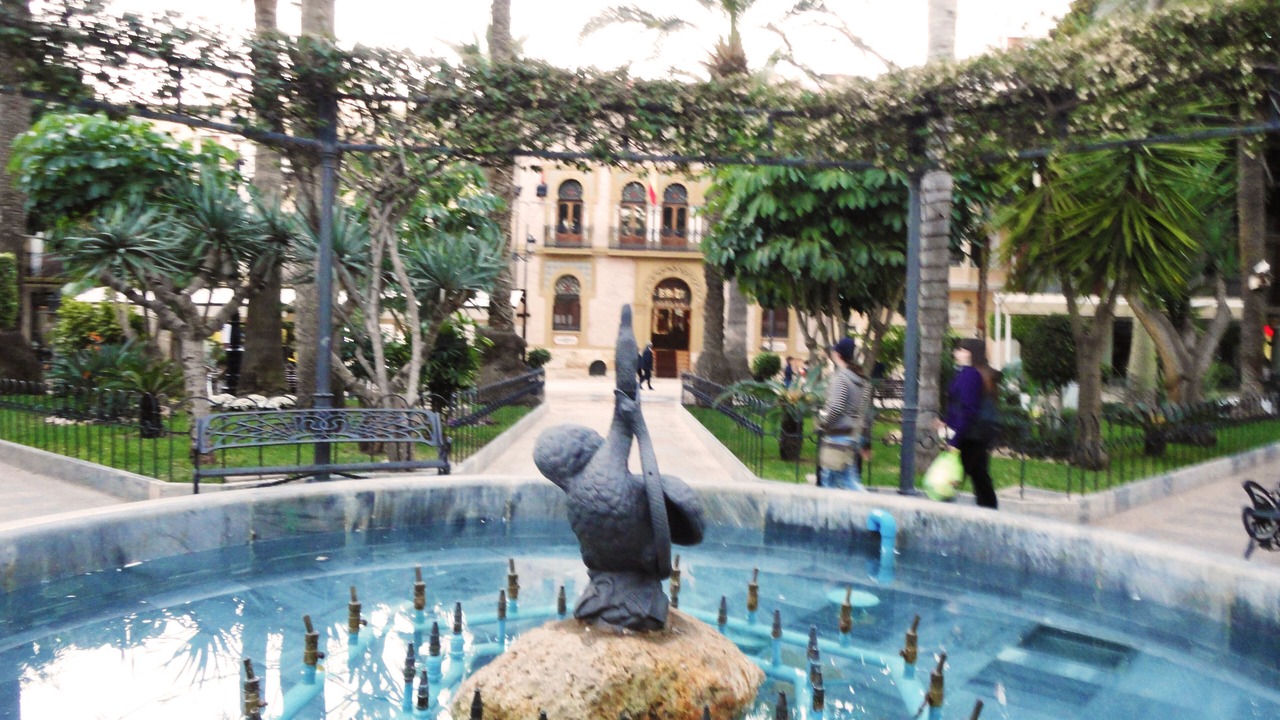 Photo of Outdoor in Las Herrerias