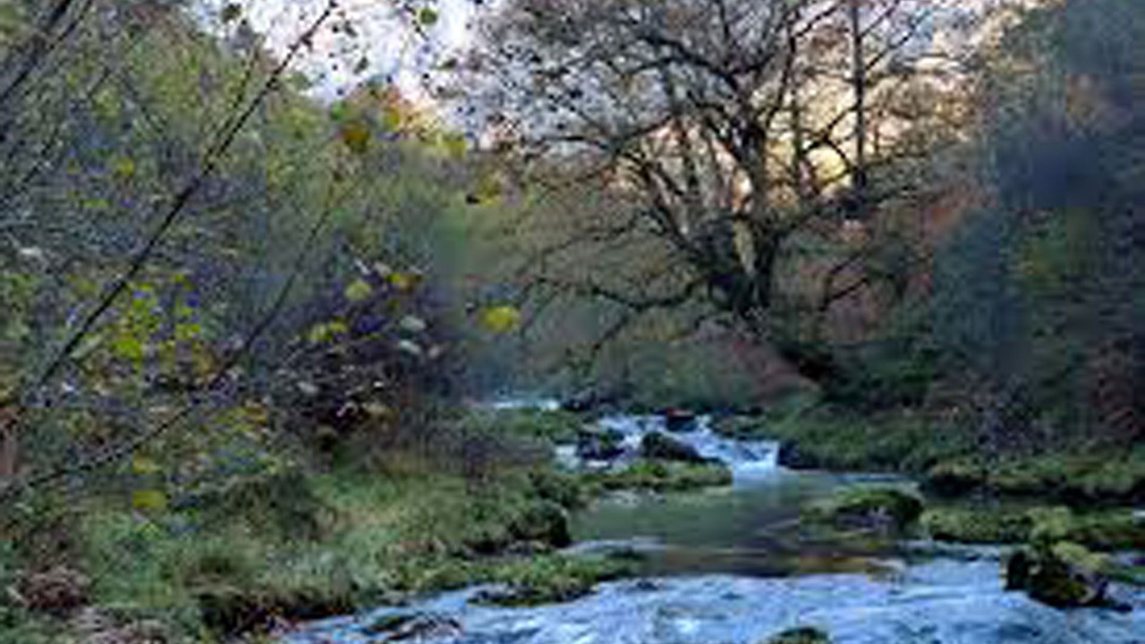 Photo of Outdoor in Cangas de Onis